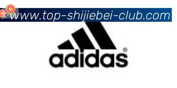 世界杯直播合作伙伴